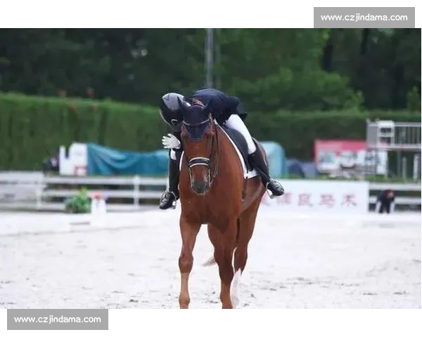 铁骑丹心:粤马术老将冲刺十五运盛装舞步 铁骑丹心:粤马术老将冲刺十五运盛装舞步