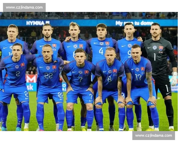 聚焦对阵北爱尔兰之战解析球队战术变化与胜负看点赛前前瞻关键走向